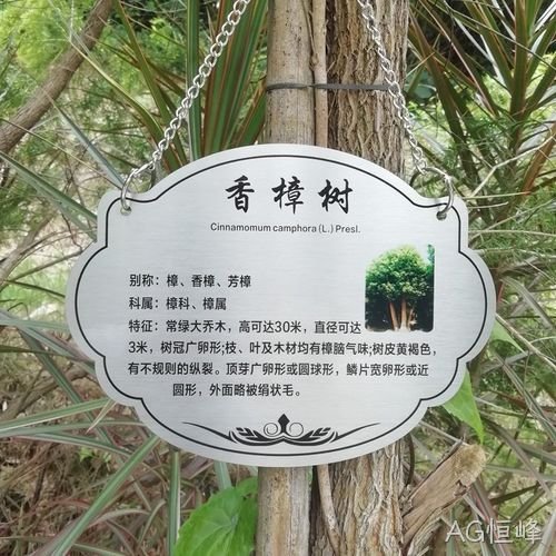 植物多样性